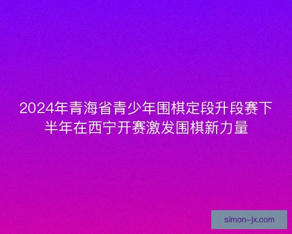 2024年青海省青少年围棋定段升段赛下半年在西宁开赛激发围棋新力量